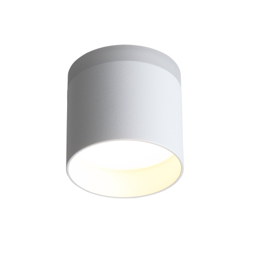 ST102.502.09 Светильник потолочный Белый LED 1*9W 3000K 702Lm Ra>80 120° IP20 D79xH75 170-240V Накладные светильники фото 5