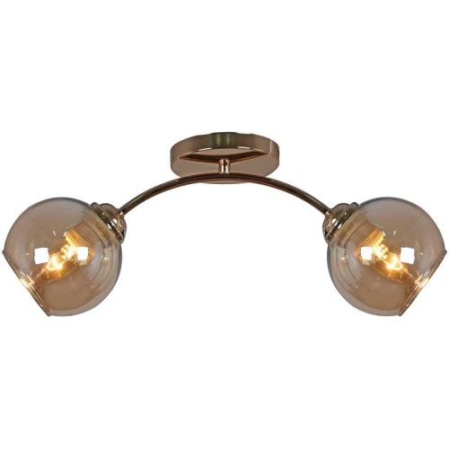 Потолочная люстра Reluce 01538-0.3-02 FGD