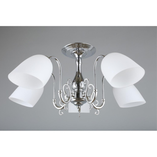 Люстра потолочная OML-29107-05 фото 3