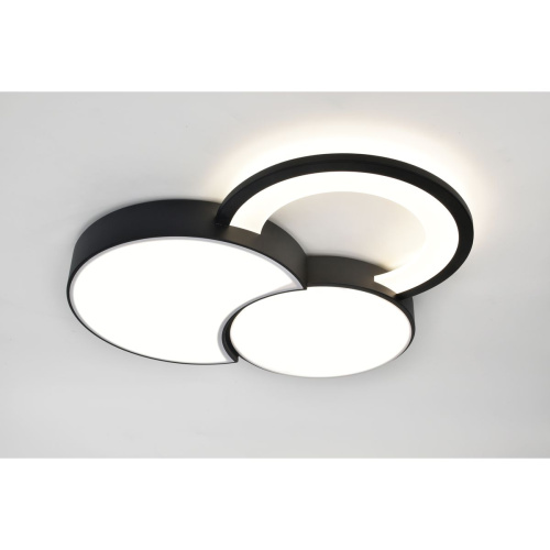 Потолочный светодиодный светильник Rivoli Aliona 6161-702 Б0066452 фото 10