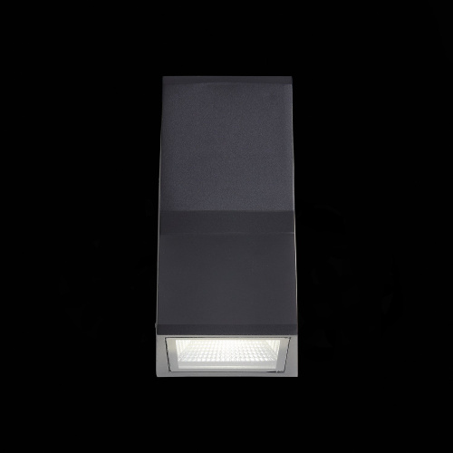 SL088.431.02 Светильник уличный настенный ST-Luce Черный кварцевый LED 2*7W 4000K DEALE фото 4