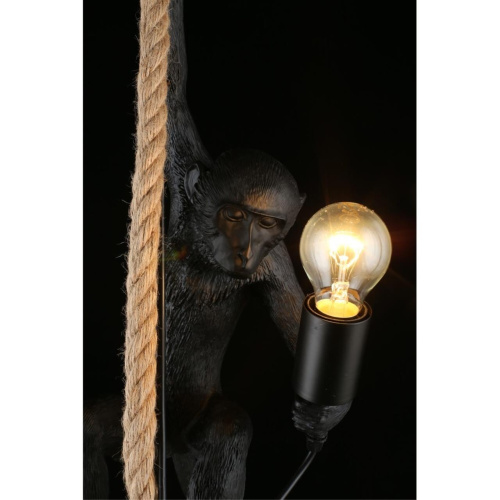 Светильник подвесной APL.309.16.01 фото 13