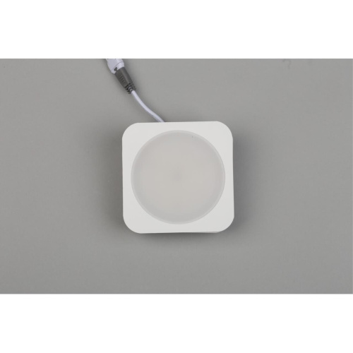 Светильник встраиваемый-накладной APL.0024.09.10 фото 2