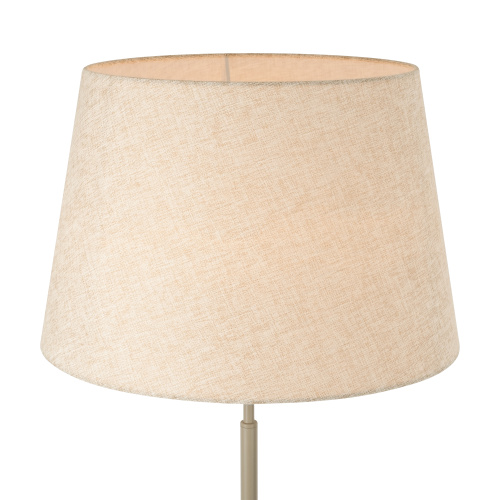 Напольный светильник (торшер) Freya FR2057FL-01BG фото 5