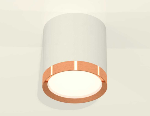Комплект накладного светильника Ambrella light Techno Spot XS (C8141, N8126) XS8141005 фото 2