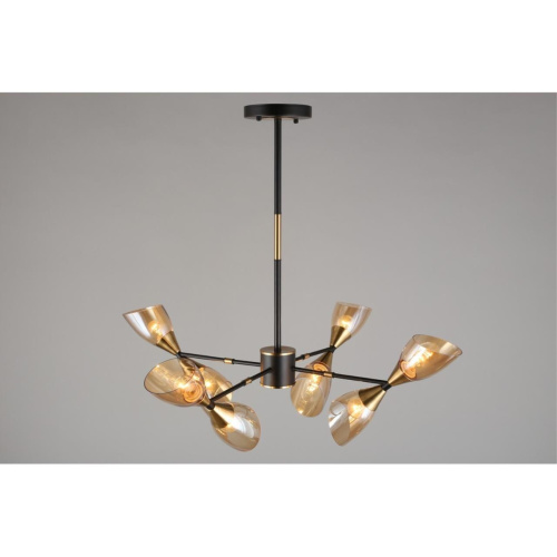 Люстра потолочная OML-66807-08 фото 8