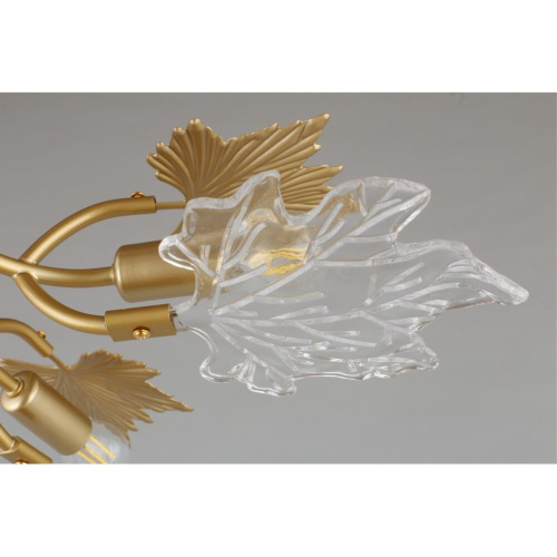 Люстра потолочная OML-52707-06 фото 4