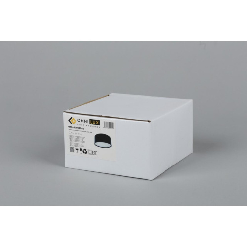 Светильник встраиваемый-накладной OML-100919-12 фото 2 Светильник встраиваемый-накладной OML-100919-12 фото 2