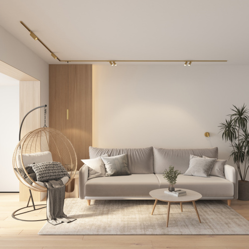 DK5742-SB Светильник для трека SHINE SPOT со светодиодом, D35*H100, 48V DC, 8W*2 , RA?90, 3000K, IP20, сатинированная латунь, алюминий фото 2