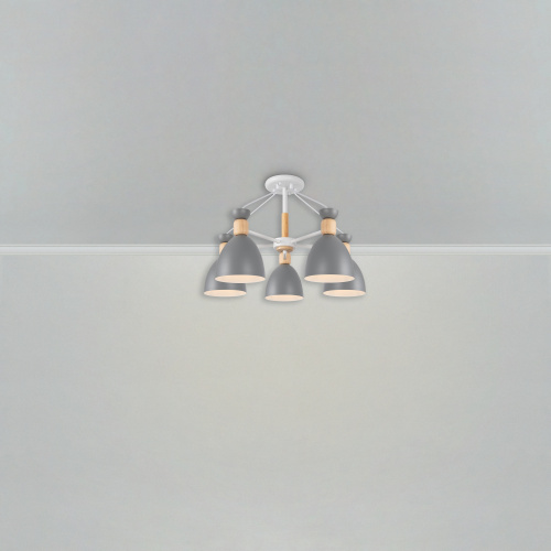Люстра Freya FR5033CL-05W фото 6
