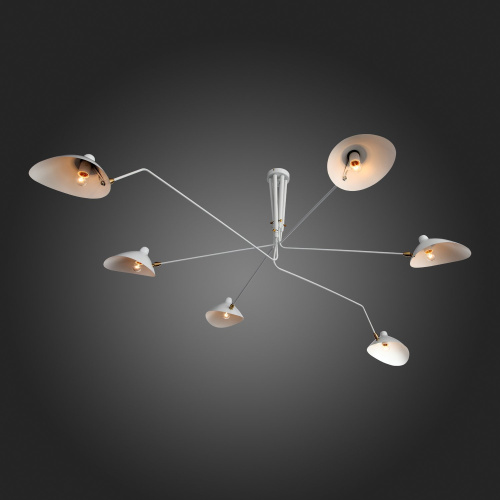 SL305.502.06 Люстра потолочная ST-Luce Белый/Белый E27 6*60W SPRUZZO фото 9