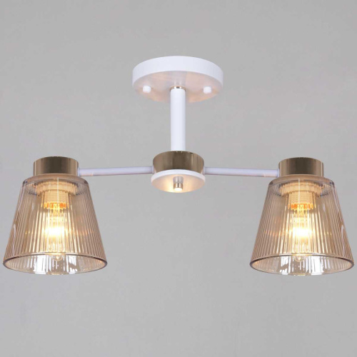 Потолочная люстра Reluce 20560-0.3-02 WH+FG