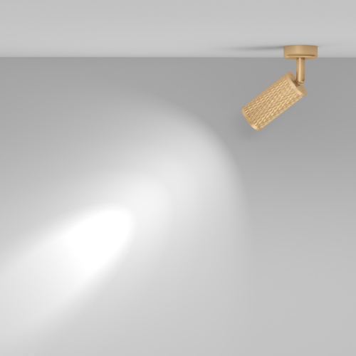 Потолочный светильник Technical C034CL-01G фото 5