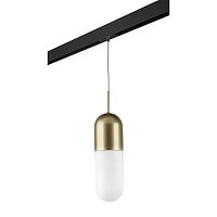 Комплект с трековым светильником Lightstar Ramo (690113+595007) PRO690113