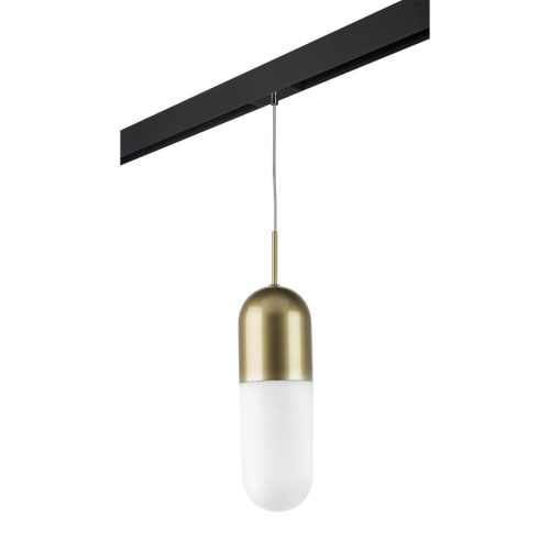 Комплект с трековым светильником Lightstar Ramo (690113+595007) PRO690113