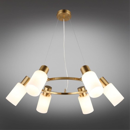 Люстра подвесная OML-69103-06 фото 10