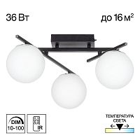 Потолочная светодиодная люстра Citilux Dorsy CL223132