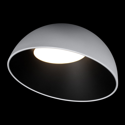 10197/500 WB  Потолочный светильник  LOFT IT Egg фото 3