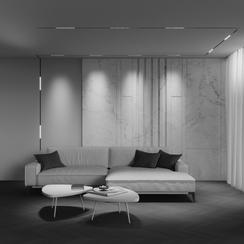 Трековый светильник Technical TR241-4-12WTW-DD2-B фото 6 Трековый светильник Technical TR241-4-12WTW-DD2-B фото 6