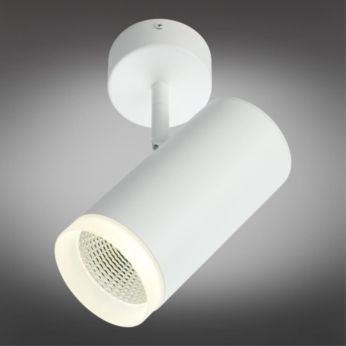 Светильник настенно-потолочный OML-102609-20 фото 3