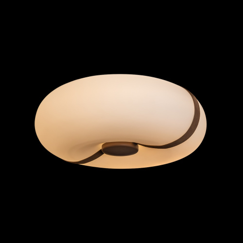 10473 Потолочный светильник LOFT IT Bolina фото 4