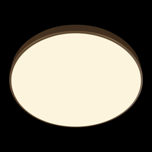 10228/B Потолочный светильник LOFT IT Flims фото 6