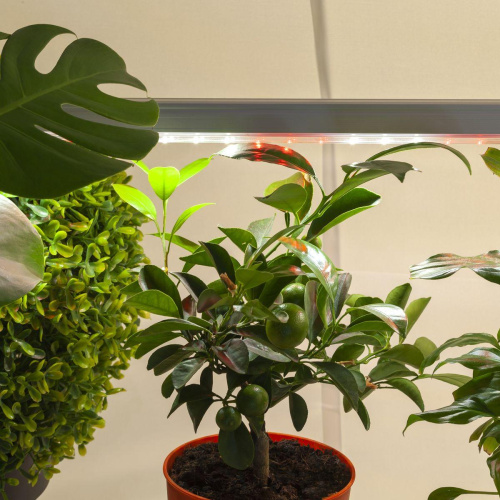 Подвесной светодиодный светильник для растений ЭРА Fito-18W-T5-Ra90 Б0049313 фото 8