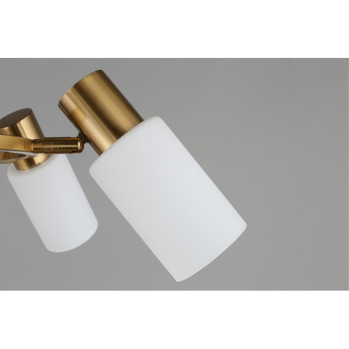 Люстра подвесная OML-69103-06 фото 3