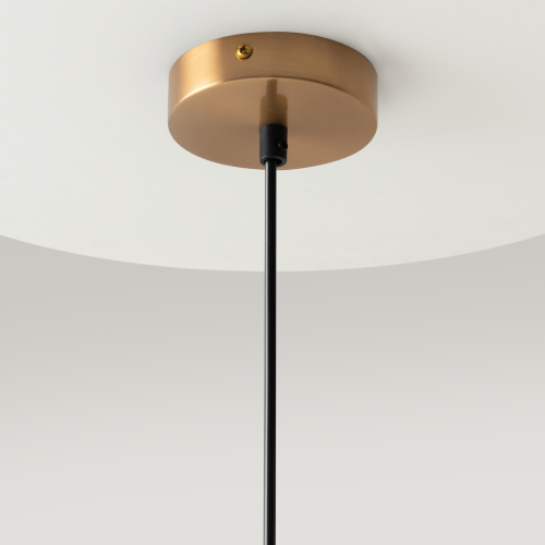 Подвесной светильник Maytoni MOD013PL-02BS1 фото 8