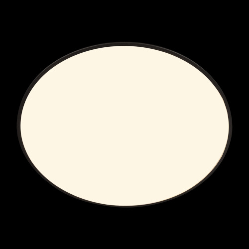 10226 Black Потолочный светильник LOFT IT Brim фото 6