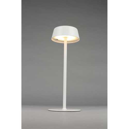 Настольная лампа OML-40514-01 фото 6