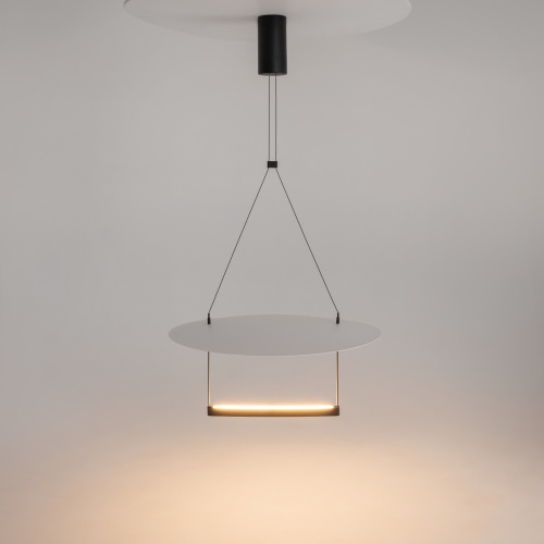 Подвесной светильник Maytoni MOD280PL-L30B3K фото 7