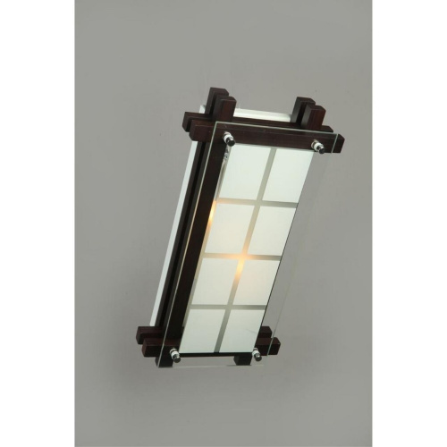 Светильник настенно-потолочный OML-40501-02 фото 2