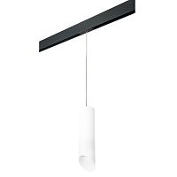 Комплект с трековым светильником Lightstar Rullo (216496+595887+201486) PRORP649686