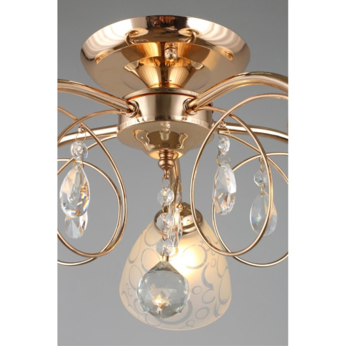 Люстра потолочная OML-29007-05 фото 5