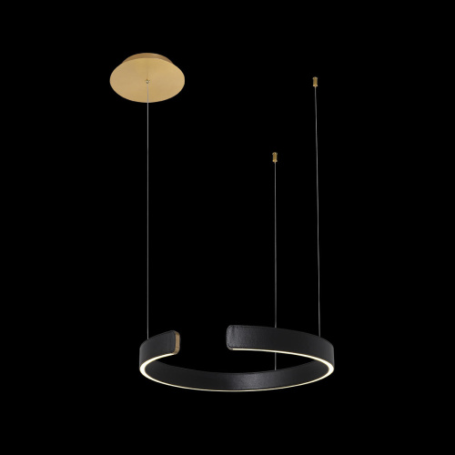 10025/400 Black Подвесной светильник LOFT IT Ring фото 3 10025/400 Black Подвесной светильник LOFT IT Ring фото 3