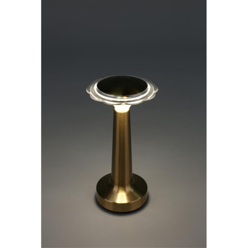 Настольная лампа OML-40204-01 фото 2