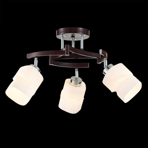 Потолочная люстра Citilux Берта CL126132 фото 9 Потолочная люстра Citilux Берта CL126132 фото 9