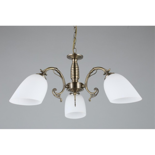 Люстра подвесная OML-56407-03 фото 7 Люстра подвесная OML-56407-03 фото 7