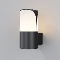 Уличный настенный светильник Outdoor O016WL-01B