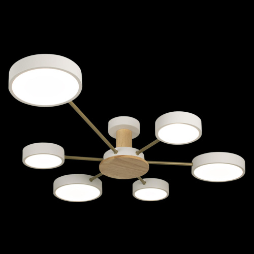 10316/6 White Потолочный светильник LOFT IT Sunrise фото 5