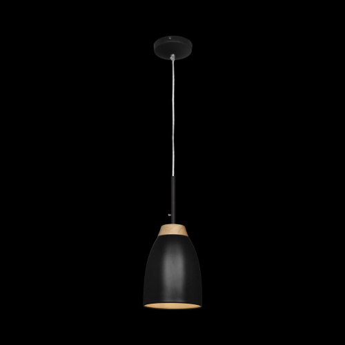 LOFT4402A-BL Подвесной светильник LOFT IT Watchman фото 2 LOFT4402A-BL Подвесной светильник LOFT IT Watchman фото 2