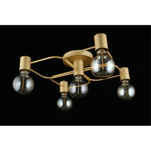 Люстра потолочная APL.911.07.05 фото 7