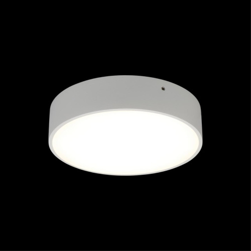 Светильник настенно-потолочный APL.0114.09.18 фото 9