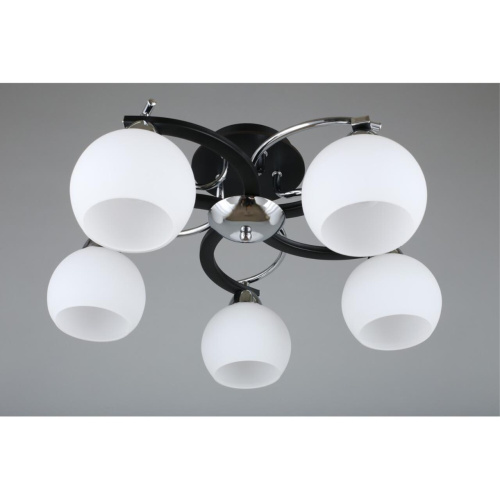 Люстра потолочная OML-25407-05 фото 5