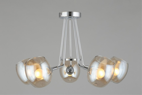 Люстра потолочная OML-27307-05 фото 13