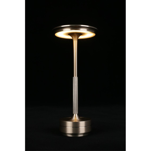 Настольная лампа APL.064.14.05 фото 11