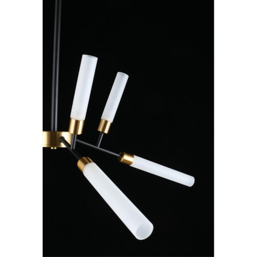 Люстра потолочная APL.604.07.09 фото 13