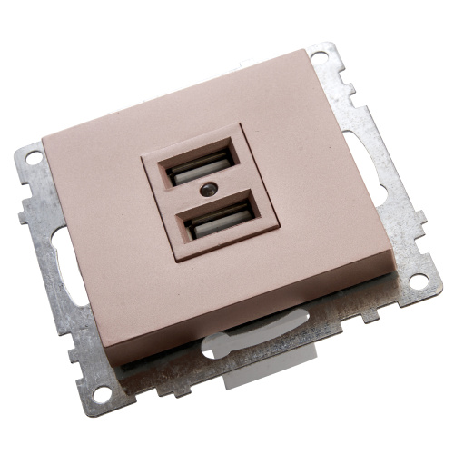 Розетка USB 2-местная (механизм), STEKKER GLS10-7115-02, 250B, 2,1A, серия Катрин, шампань фото 2