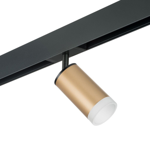 Комплект с трековым светильником Lightstar Rullo (214440+595057+202430) PRO44030